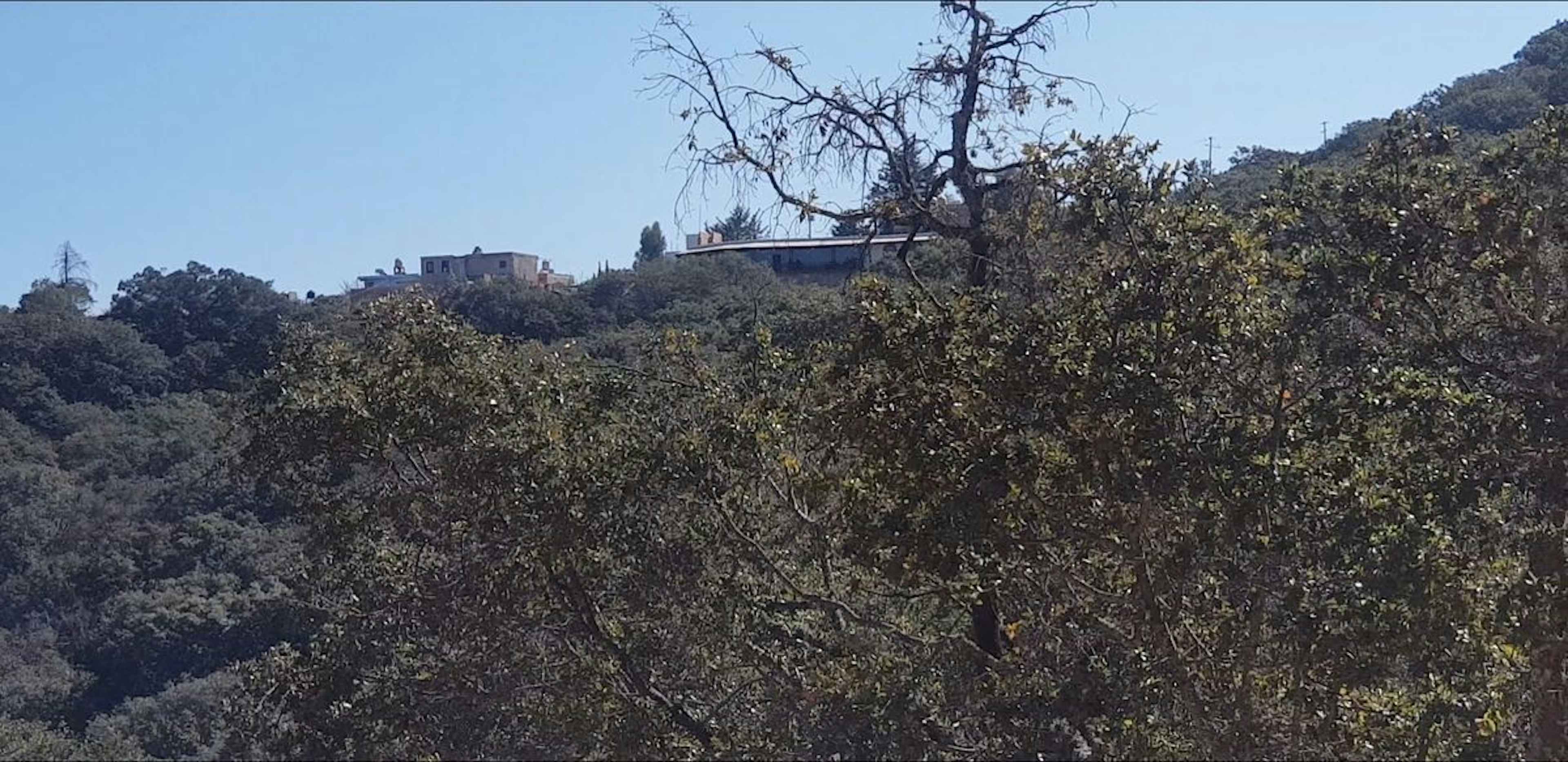 Dolores Hidalgo - Guanajuato 4168