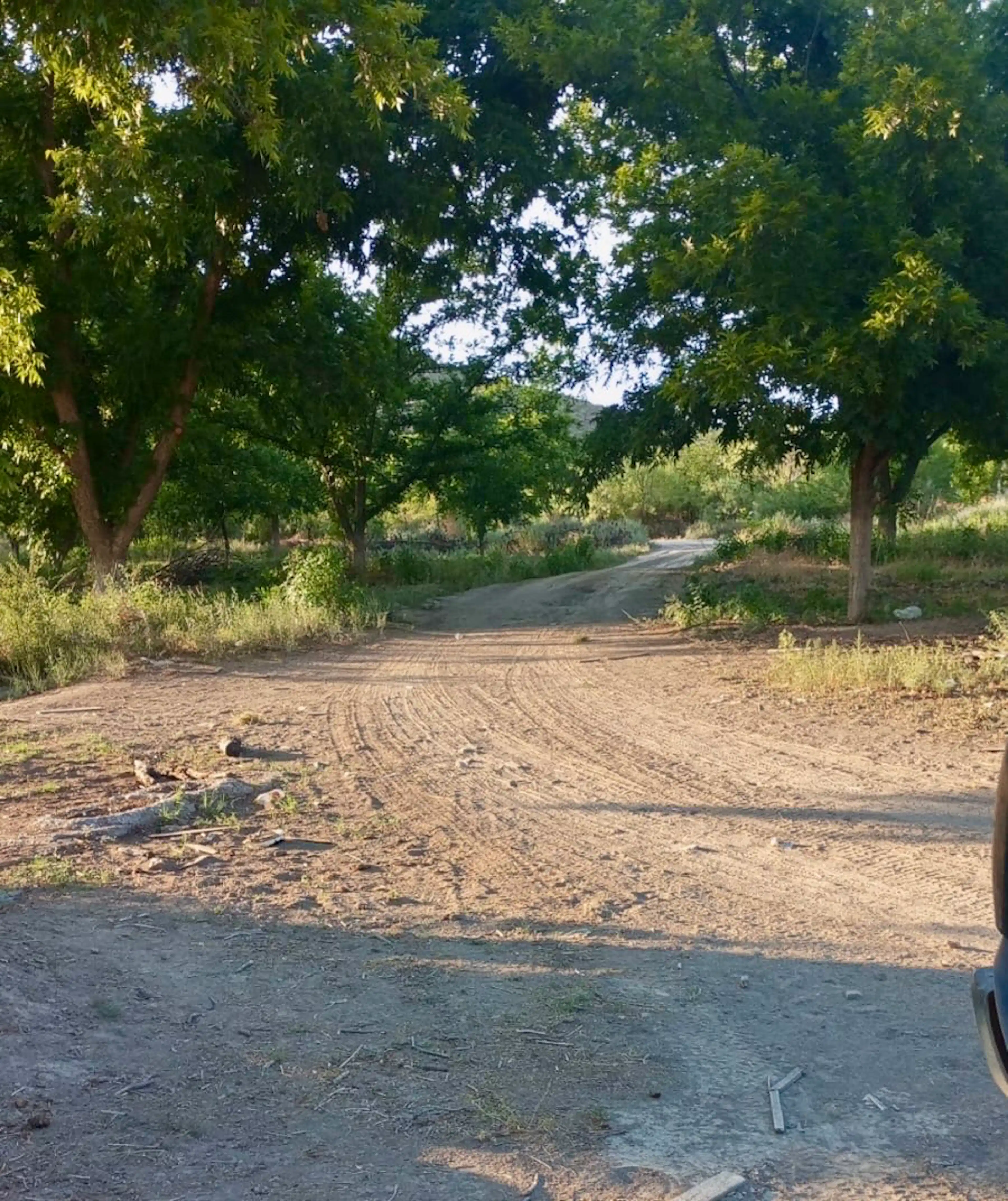 Terreno En Venta En Parras, Parras, Coahuila De Zaragoza