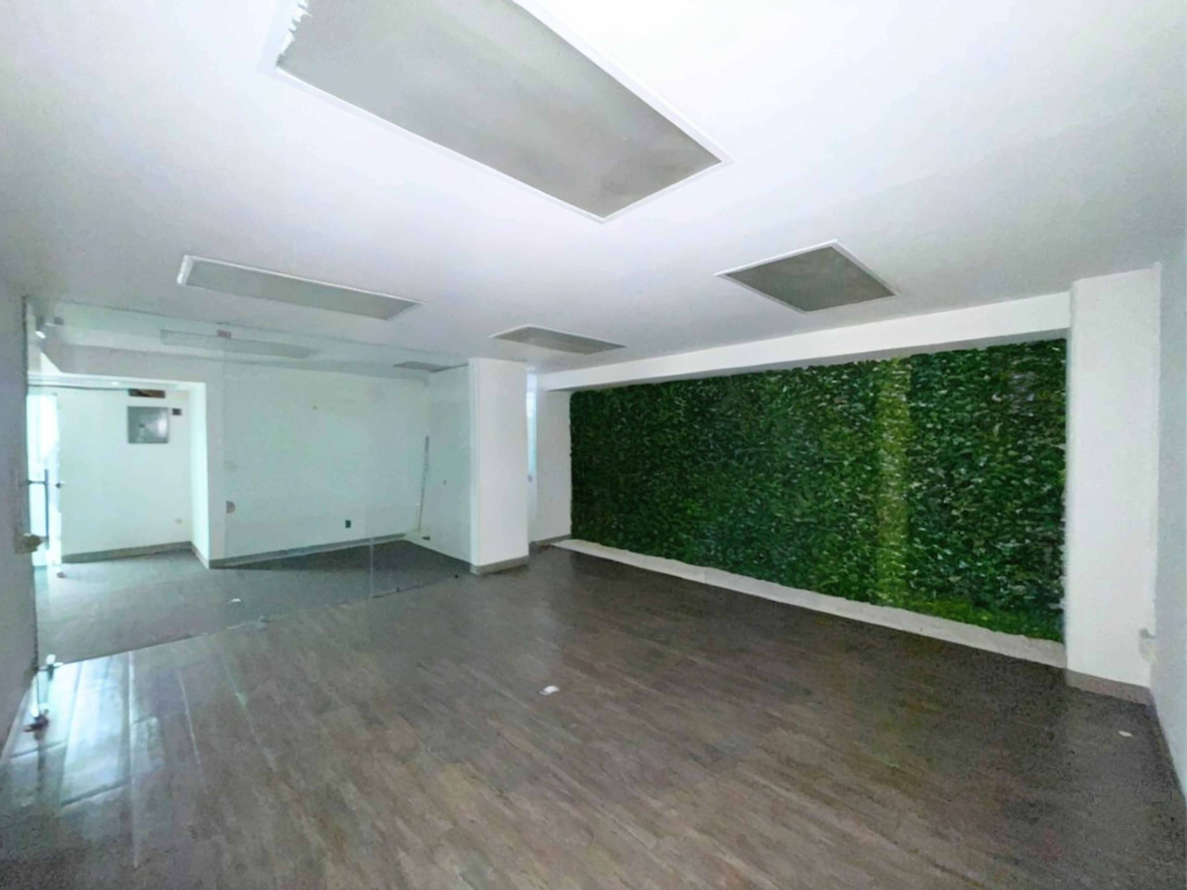 Avenida Insurgentes Sur