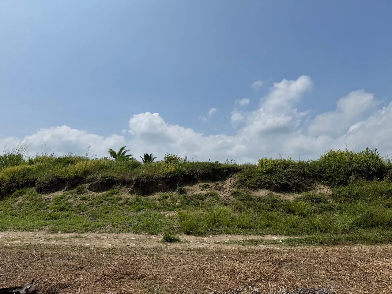 Terreno Spot2