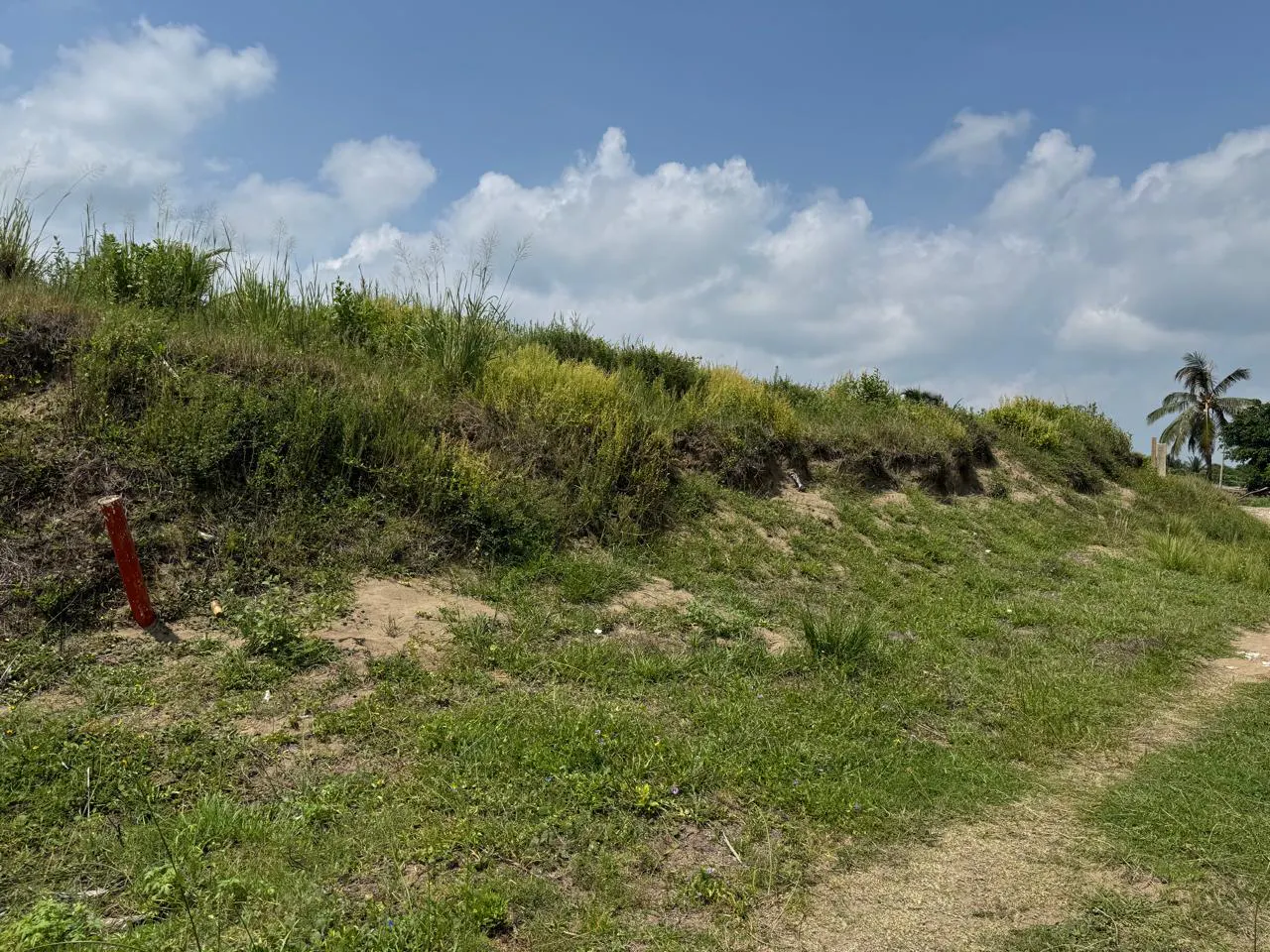 Terreno Spot2