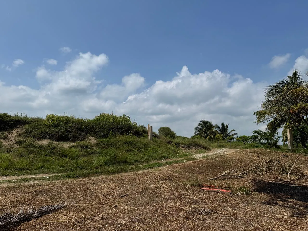 Terreno Spot2