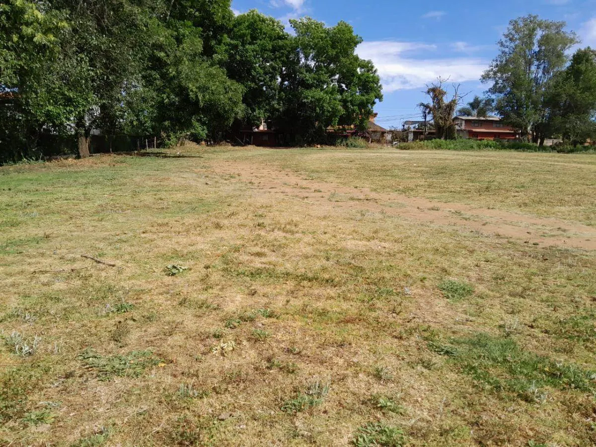 Terreno Spot2