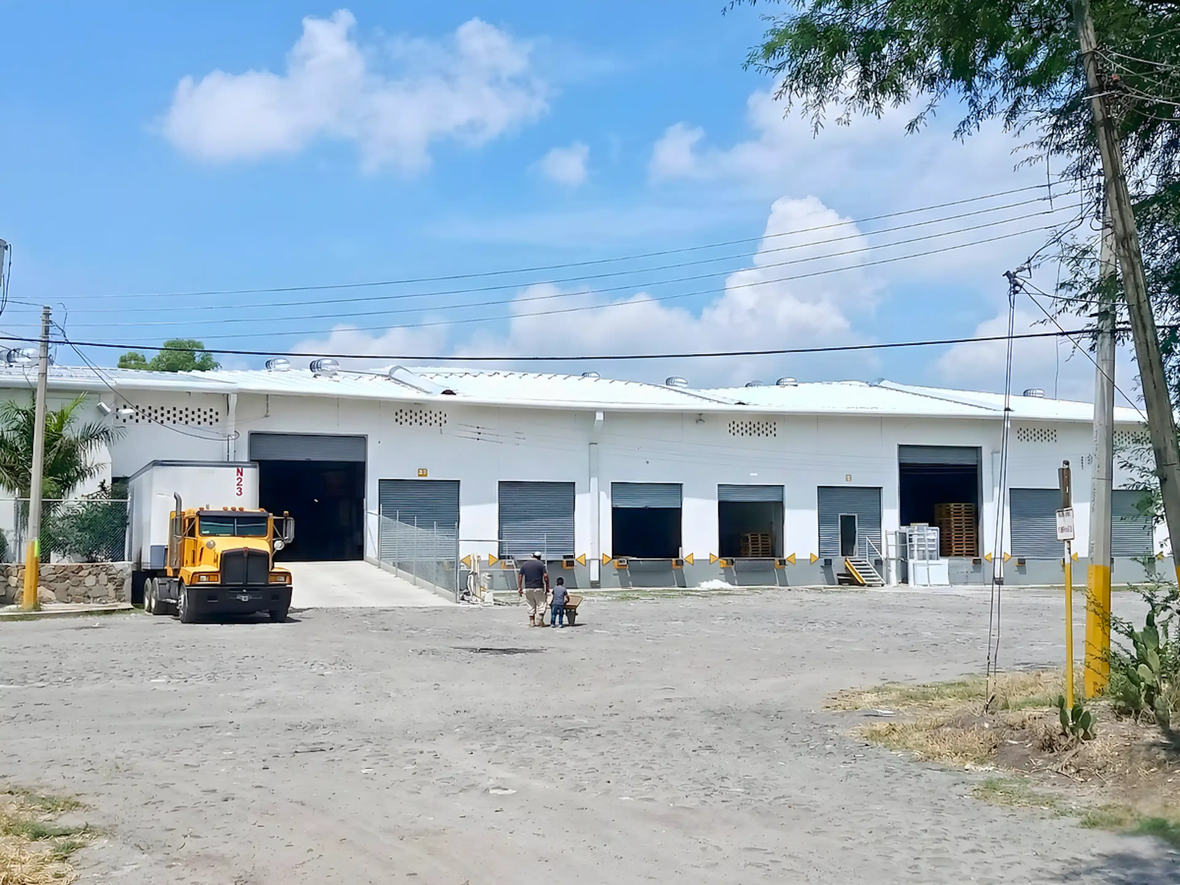 Vereda De Los Tulipanes