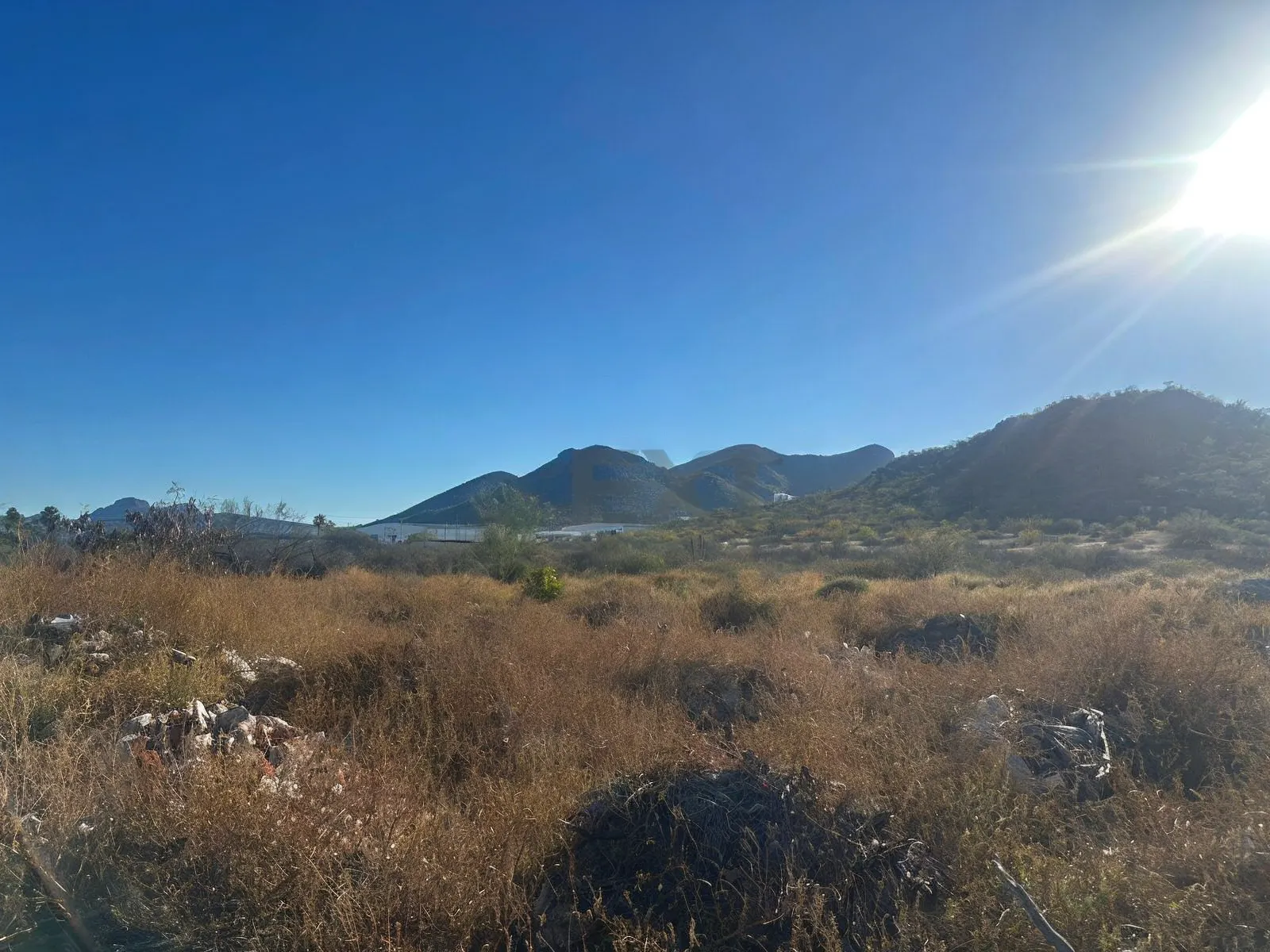Terreno Spot2