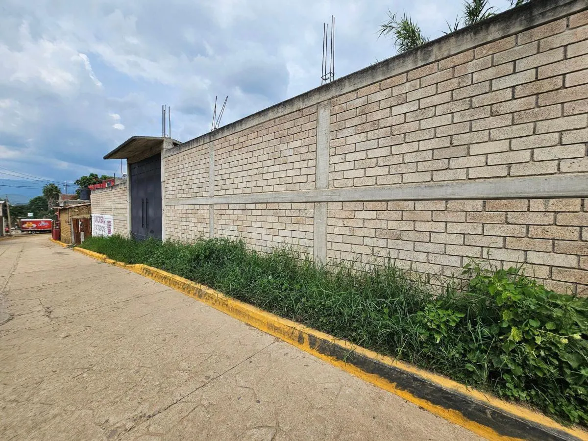 Terreno Spot2