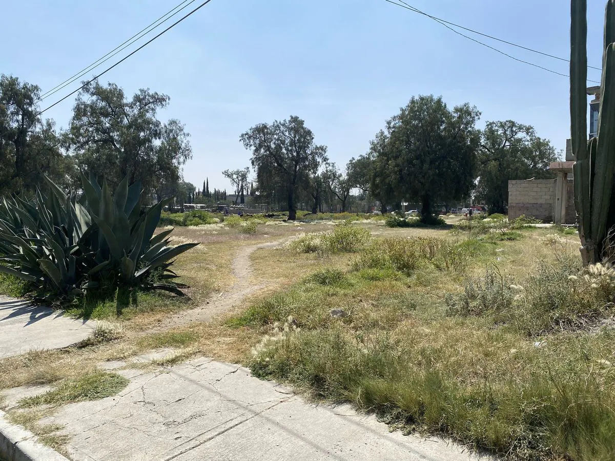 Terreno Spot2