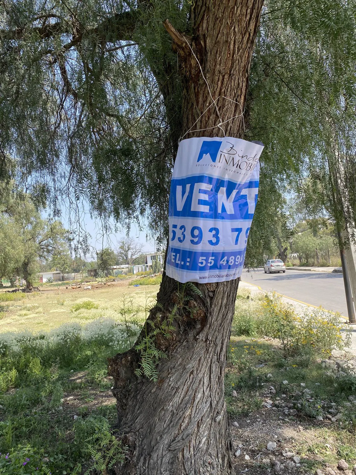 Terreno Spot2