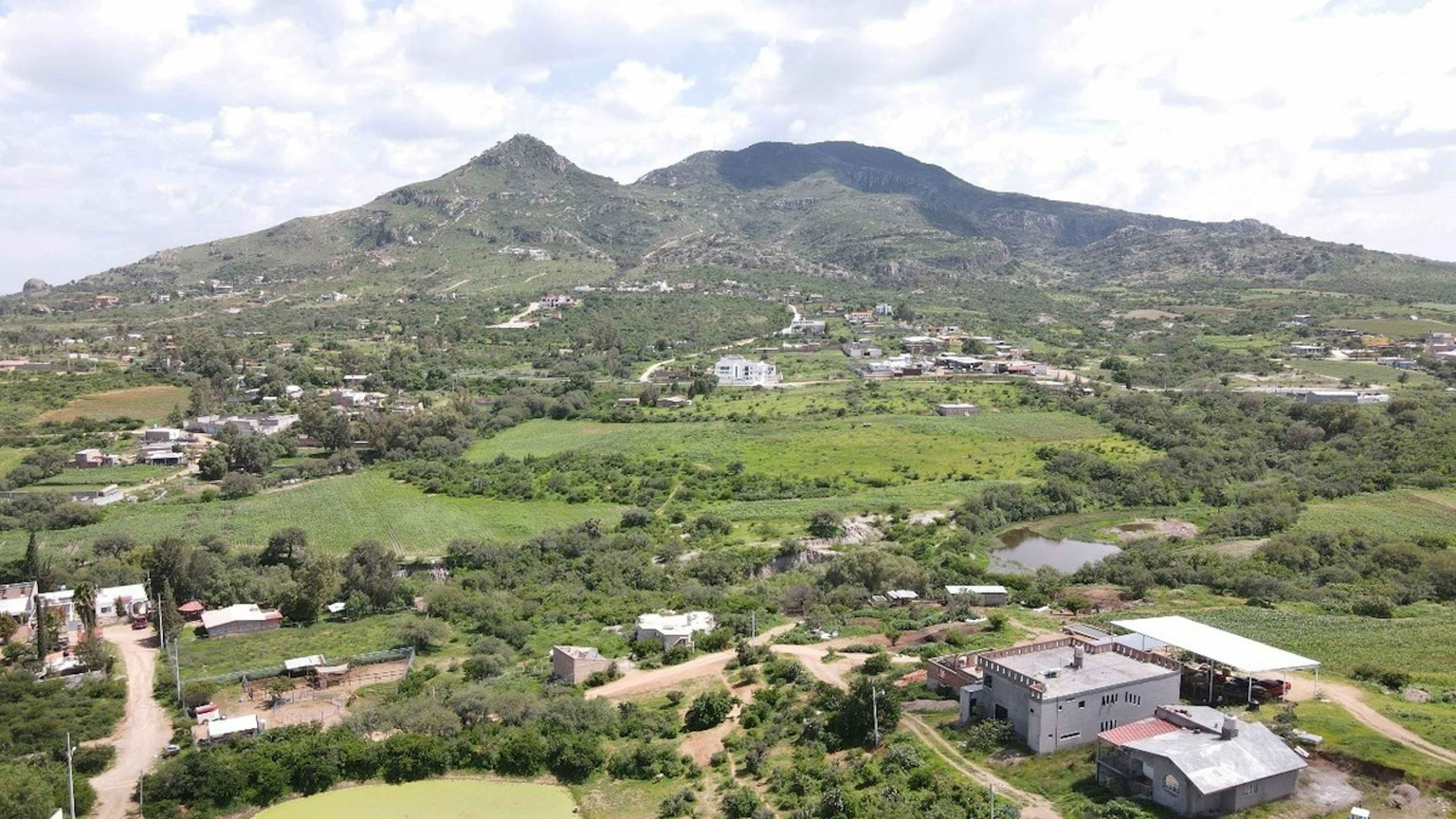 Avenida La Tomatina 500