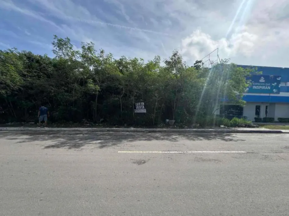 Terreno Spot2