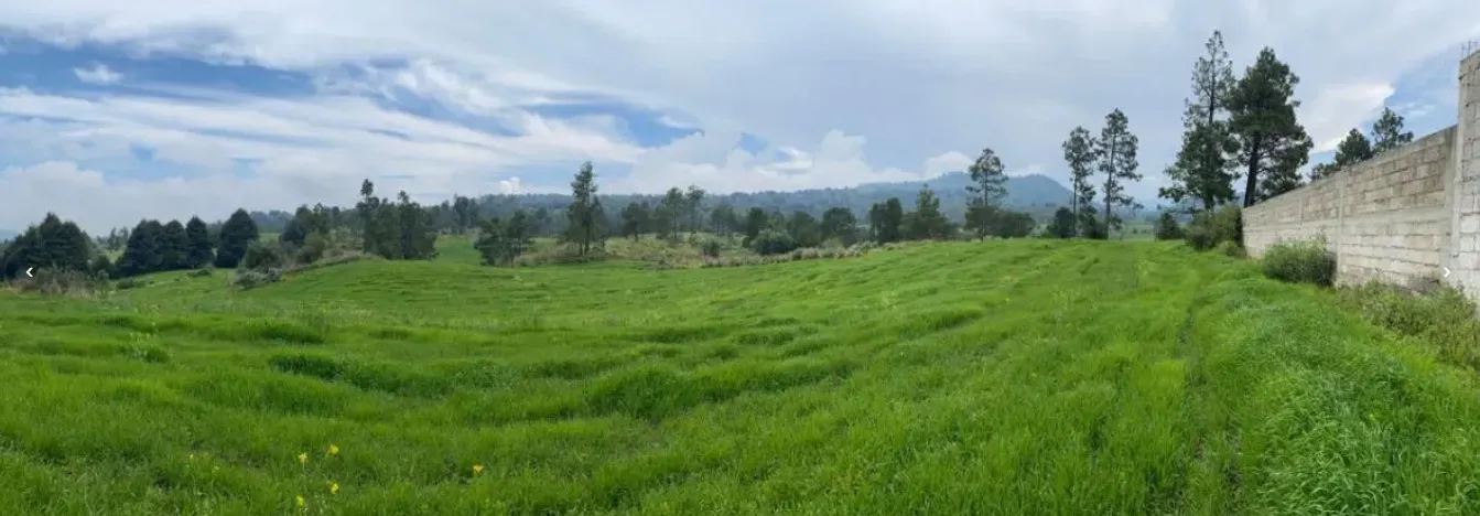 Terreno Spot2