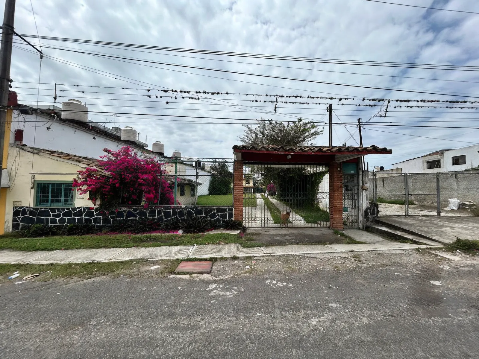 Terreno Spot2