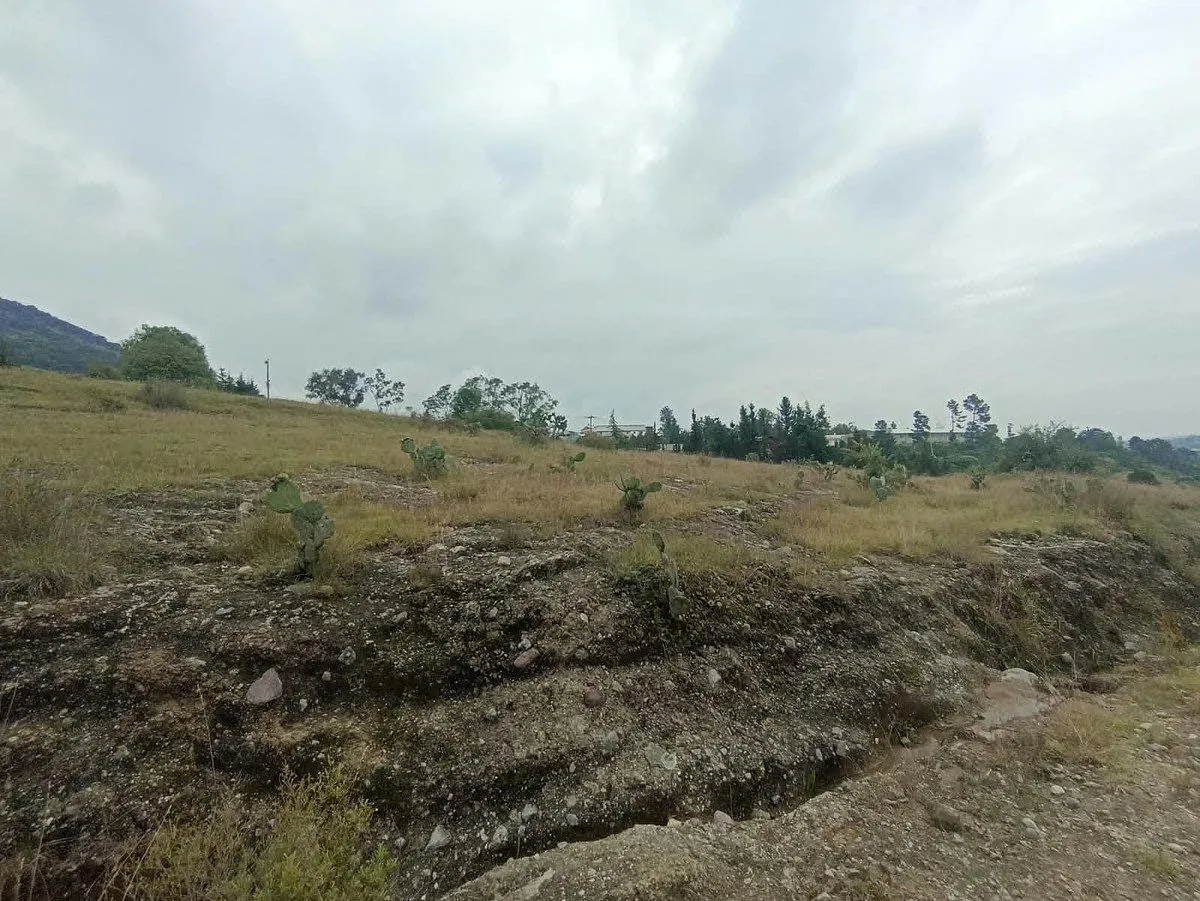Terreno Spot2