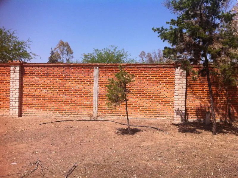 Terreno Spot2
