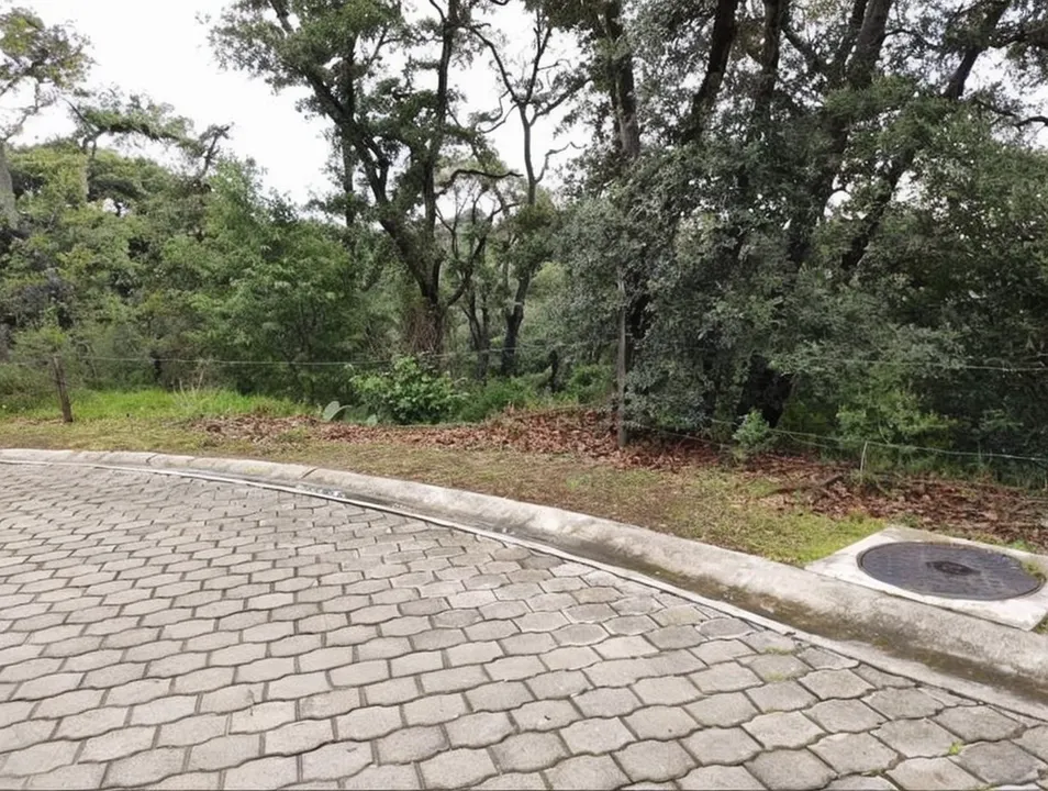 Terreno Spot2
