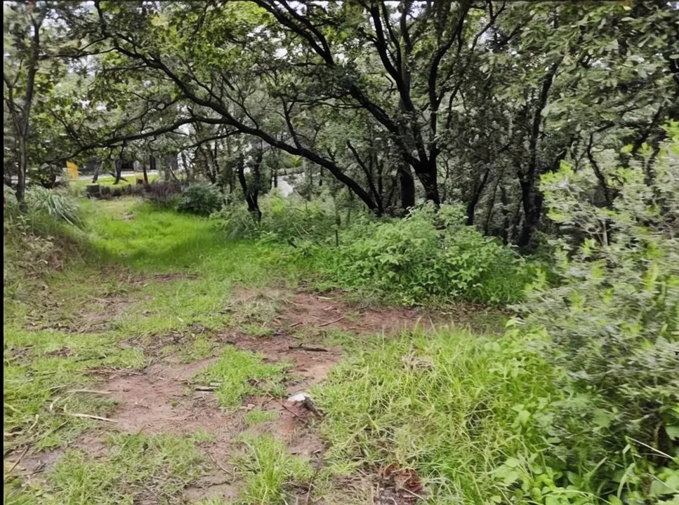 Terreno Spot2