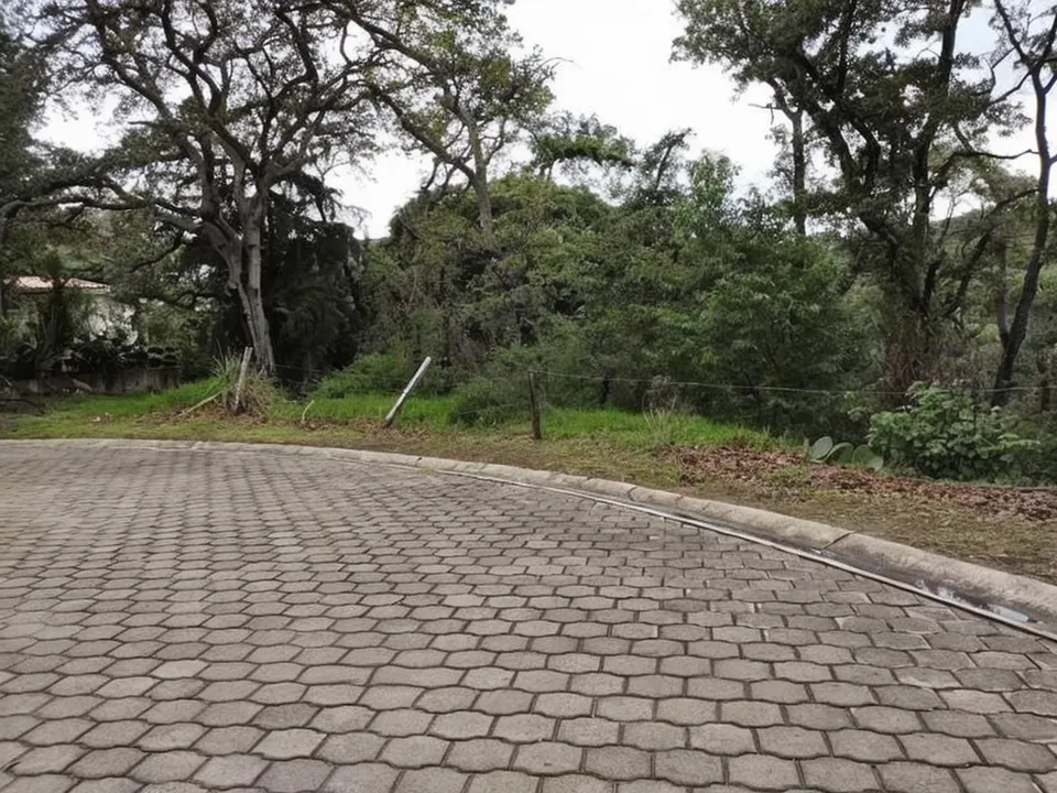 Terreno Spot2