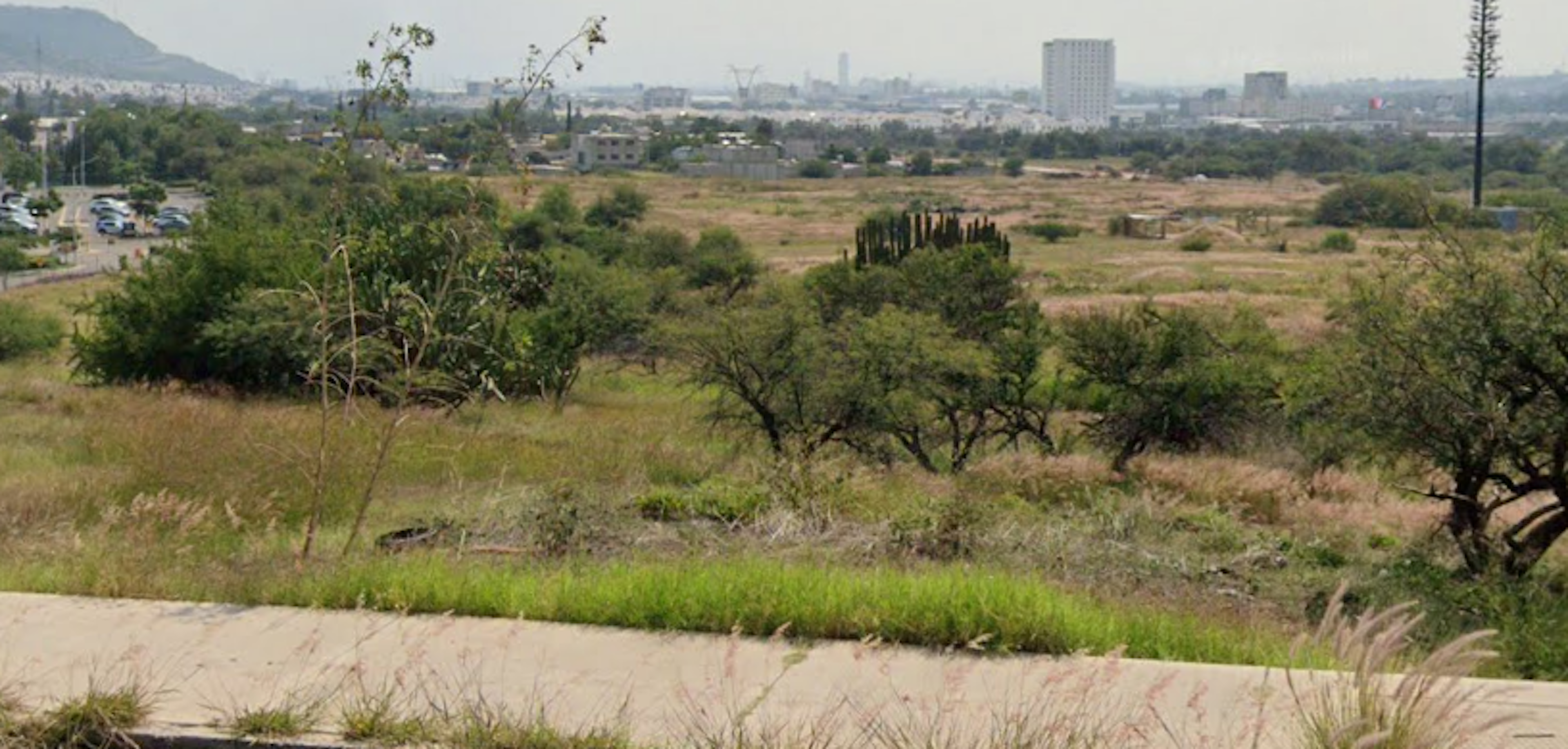 La imagen muestra un terreno amplio y sin desarrollar en una zona semi-urbana. Se observa vegetación dispersa, incluyendo árboles y arbustos, con una ciudad visible en el fondo. El paisaje sugiere un área con potencial para desarrollo inmobiliario, posiblemente para proyectos residenciales o comerciales. La presencia de infraestructura urbana en la distancia indica que el terreno está en las afueras de una ciudad en crecimiento.