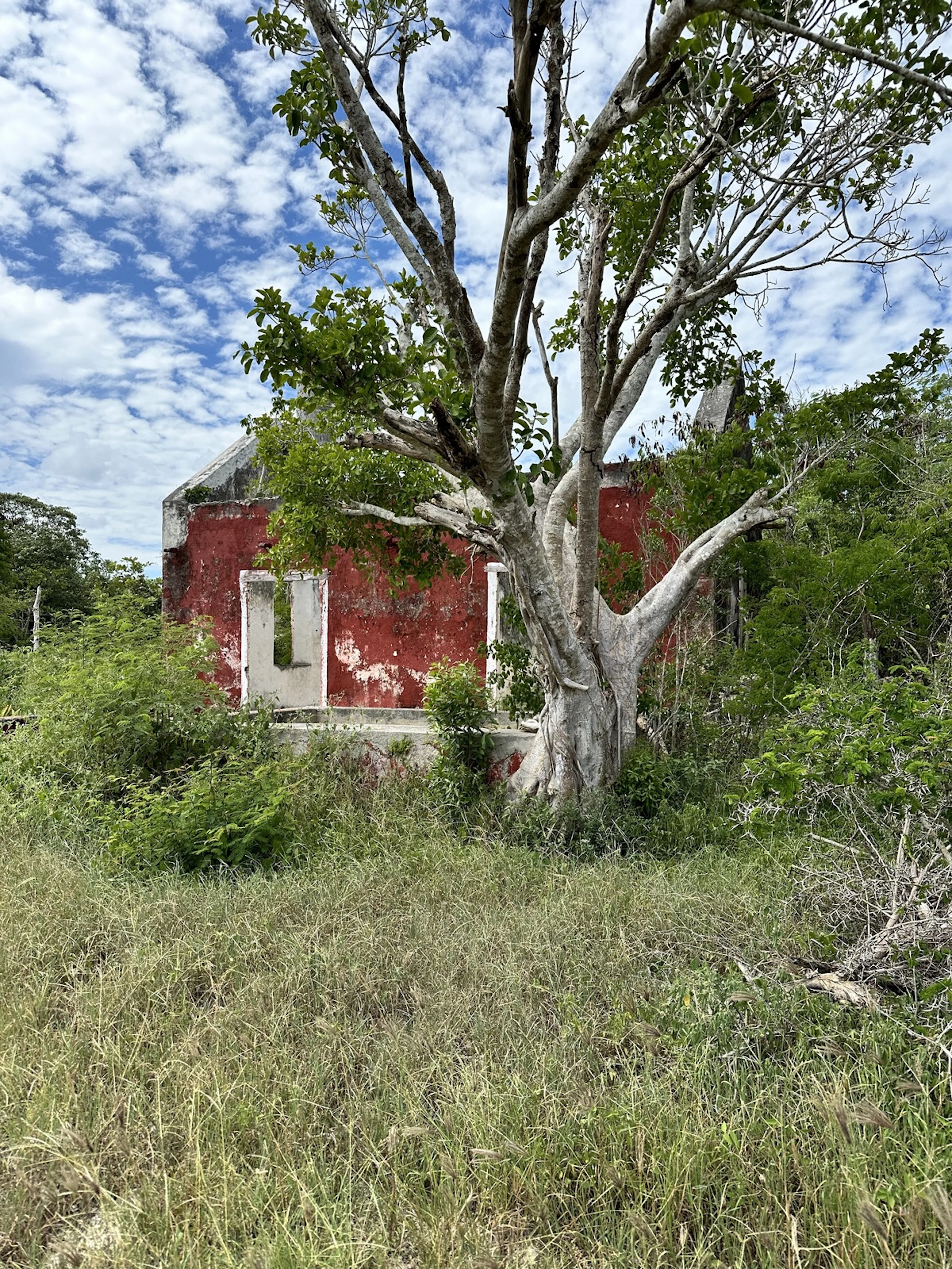 Terreno Spot2