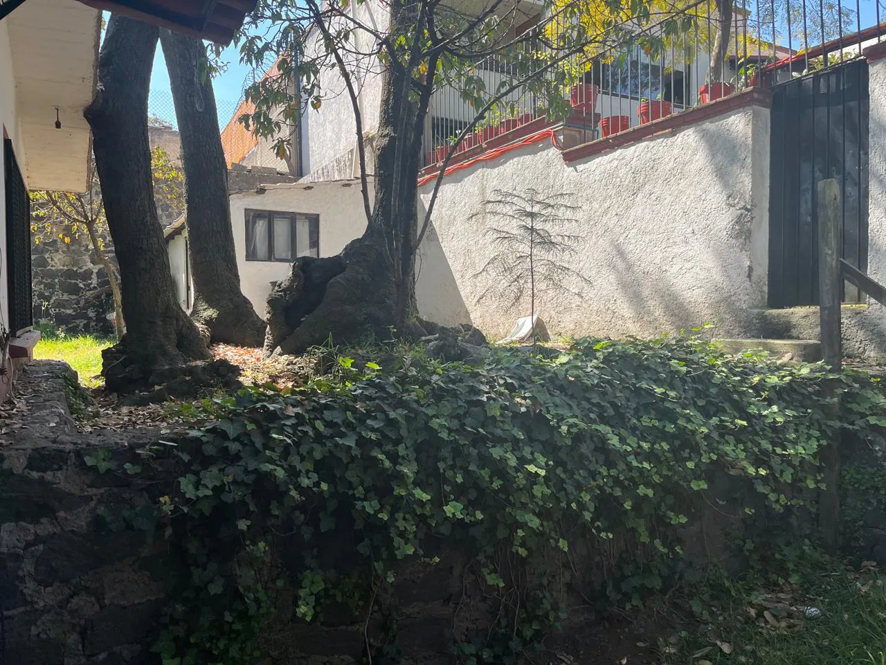 Terreno Spot2