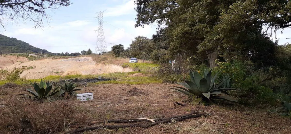 Terreno Spot2