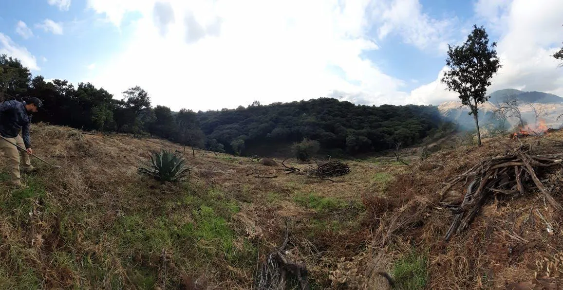 Terreno Spot2