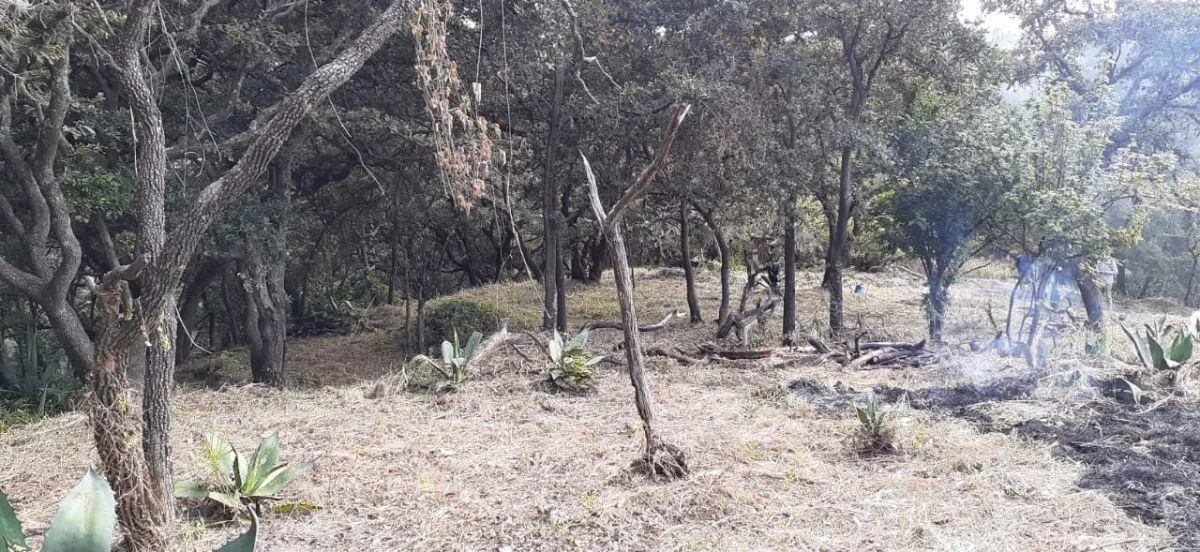 Terreno Spot2