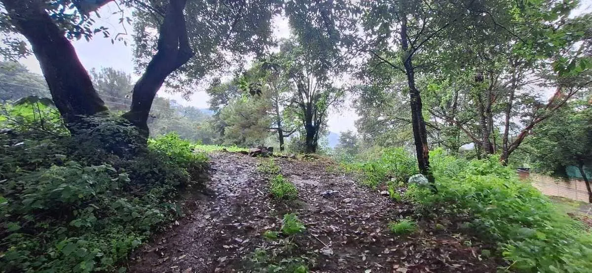 Terreno Spot2
