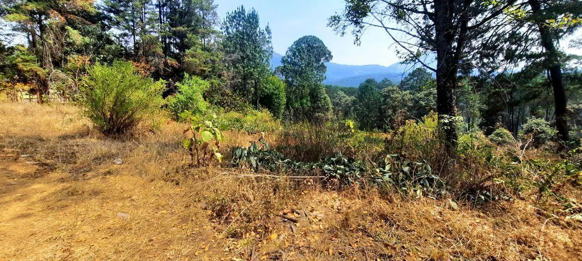 Terreno Spot2