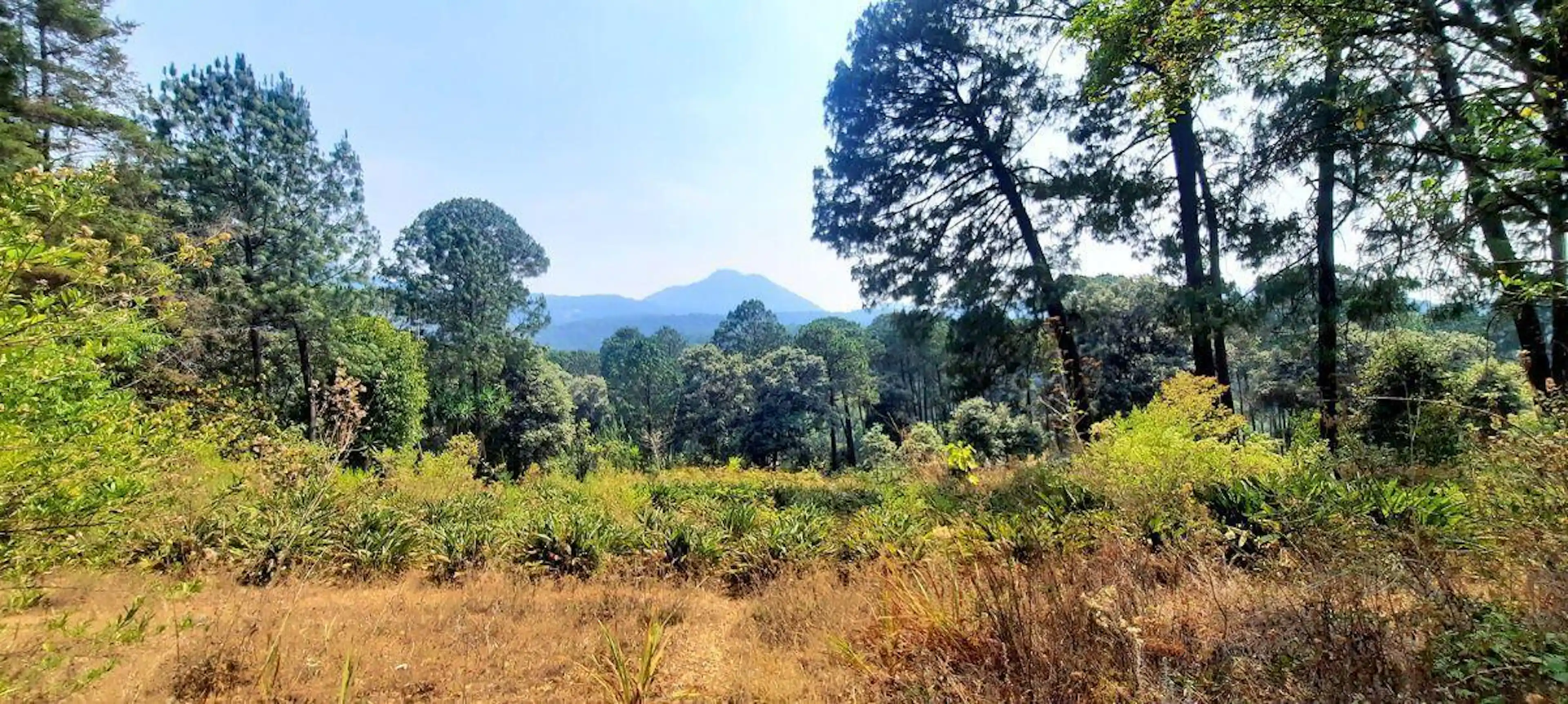 Terreno En Avándaro Para Desarrollar.