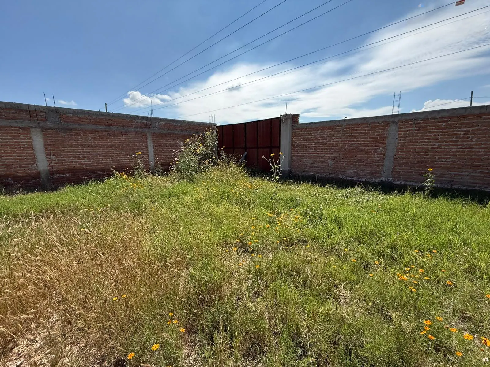 Terreno Spot2