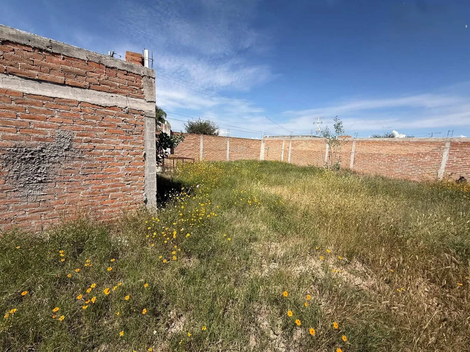 Terreno Spot2