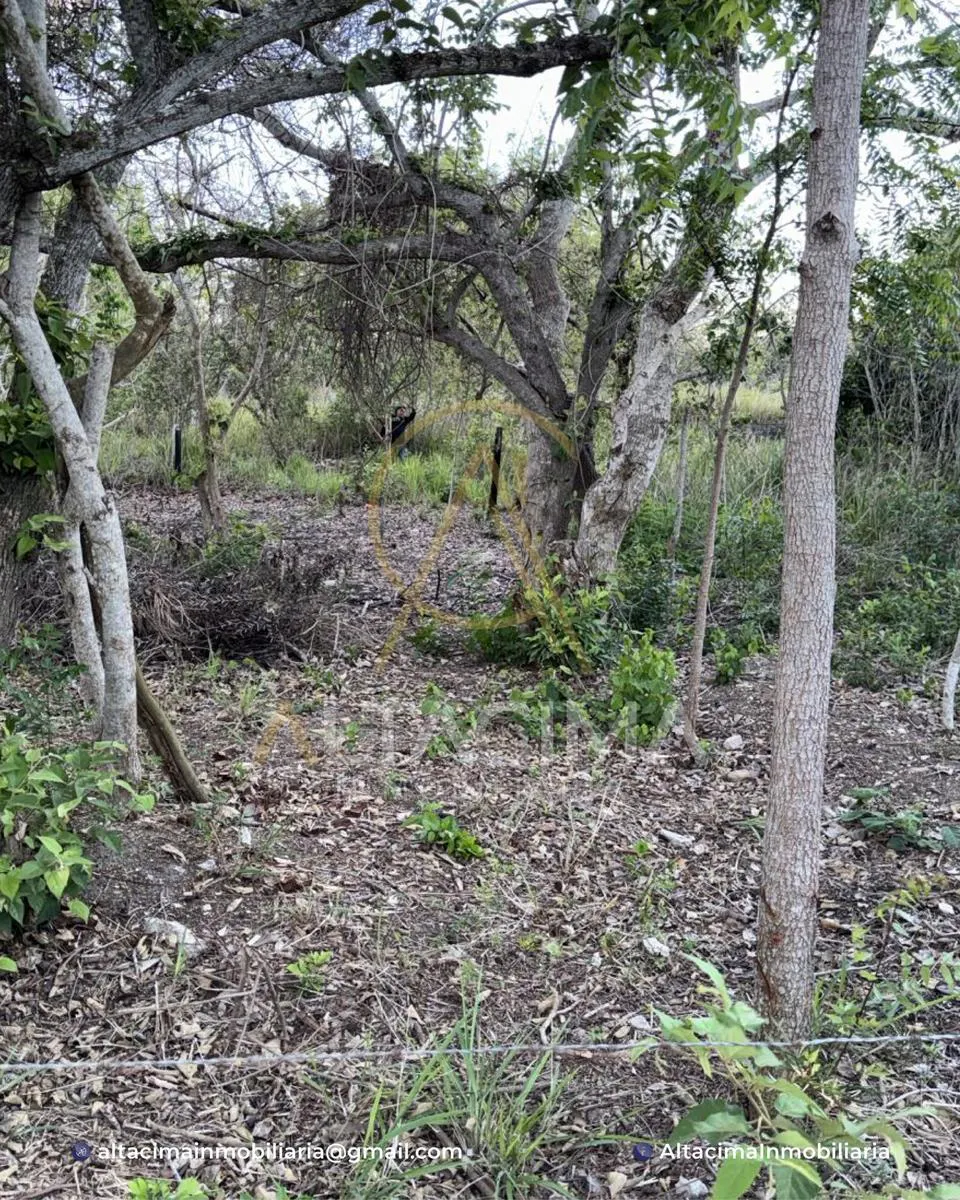 Terreno Spot2