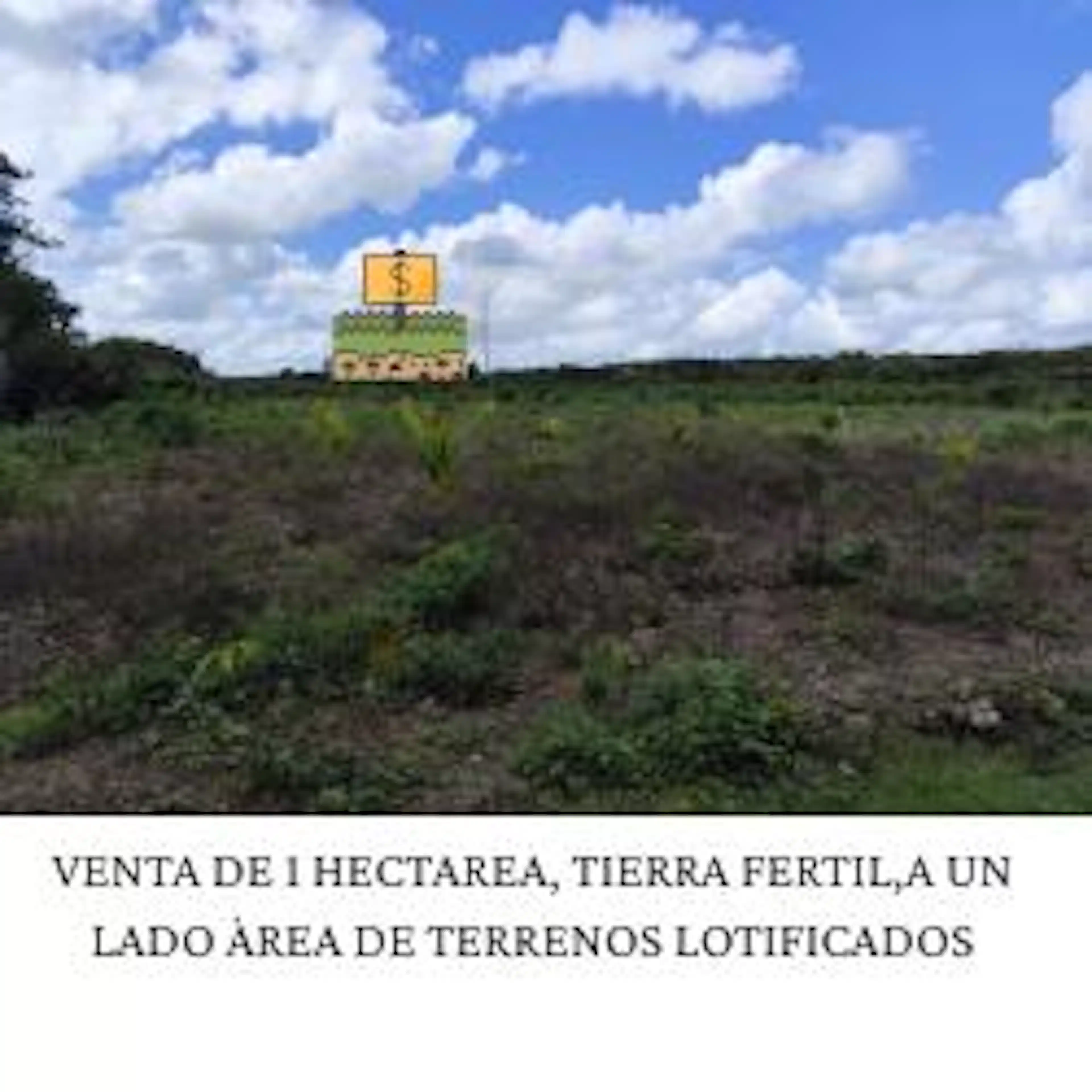Se Vende Hectarea Juan Sarabia,quintana Roo