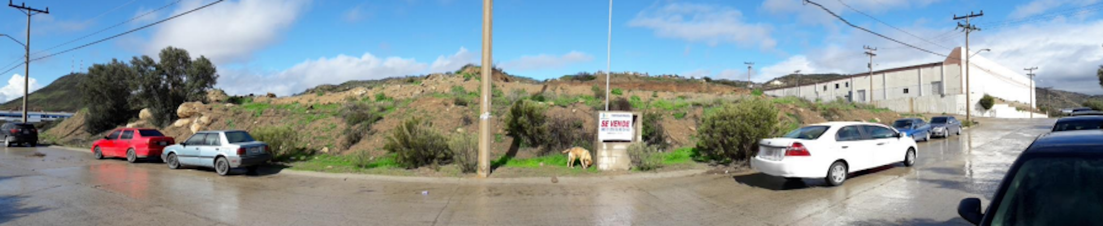 Spot image 0