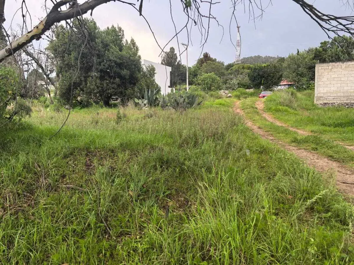 Terreno Spot2