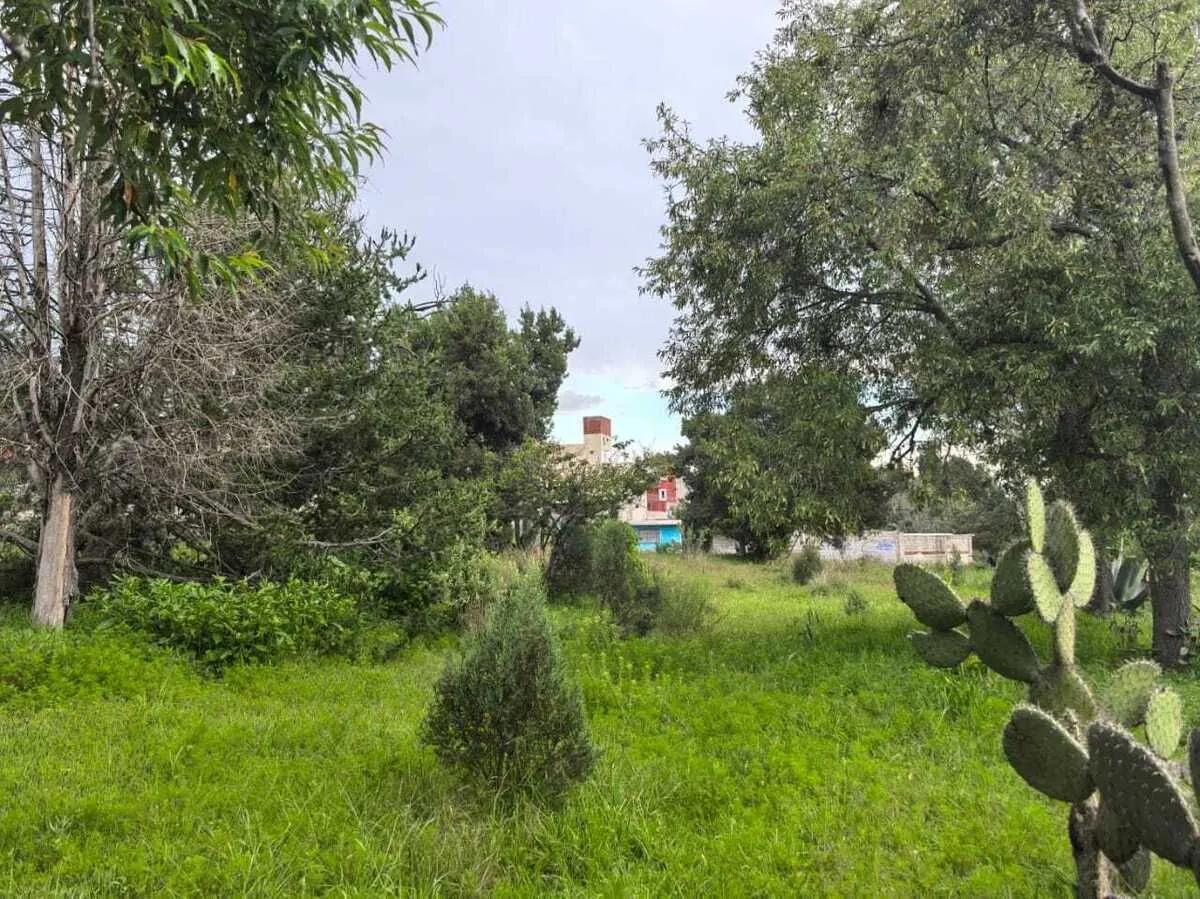 Terreno Spot2