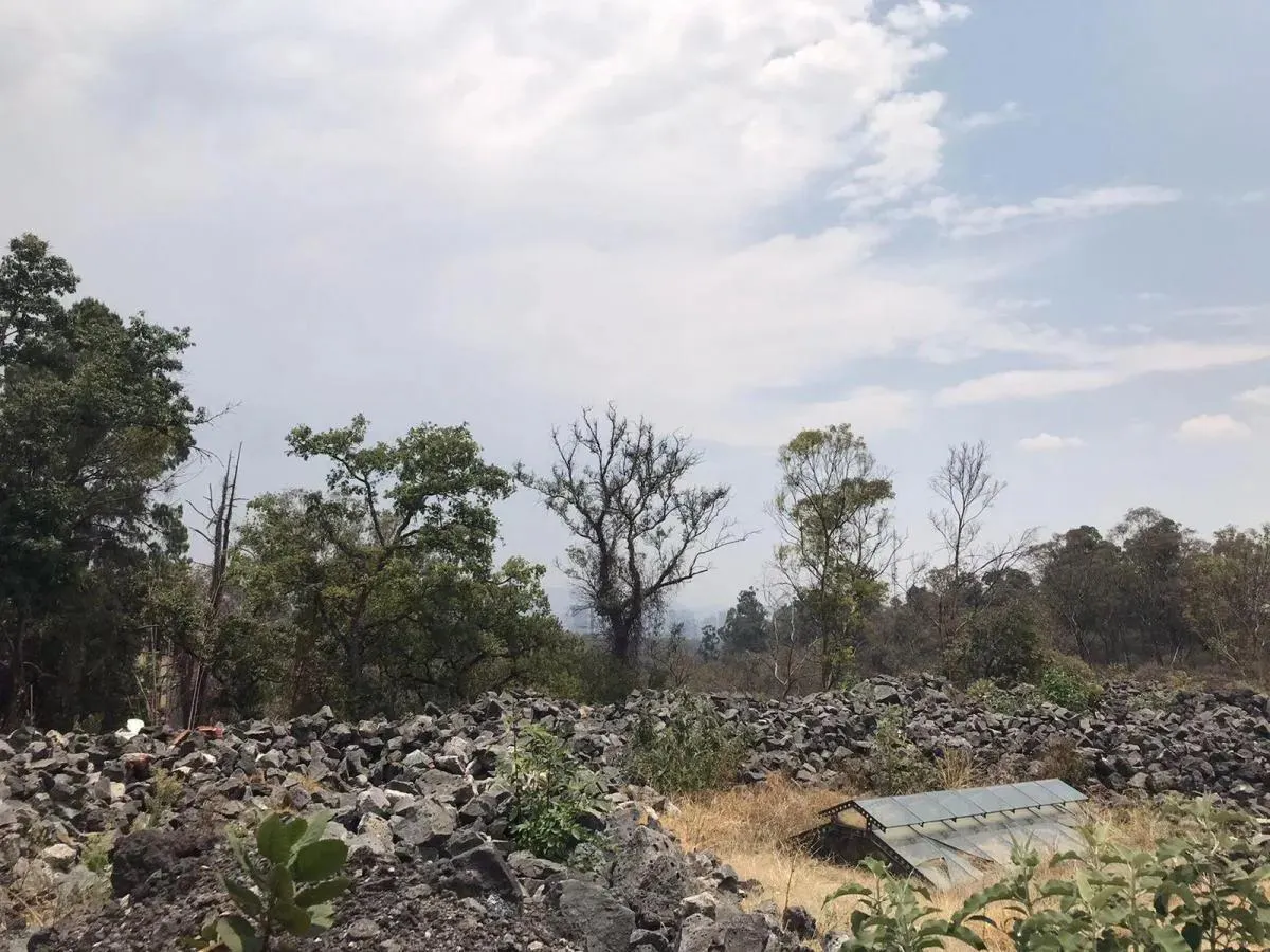 Terreno Spot2