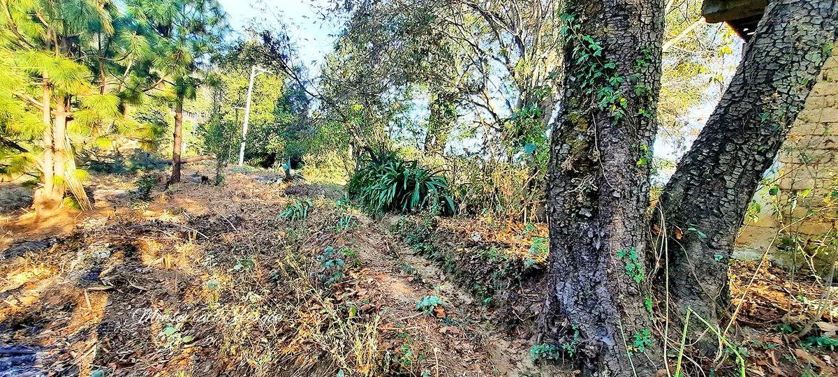 Terreno Spot2
