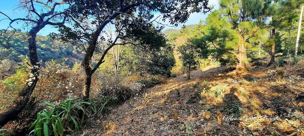 Terreno Spot2