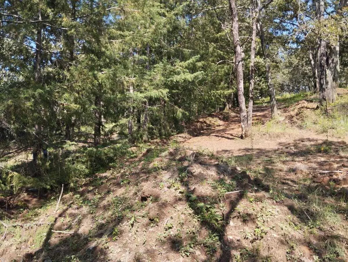 Terreno Spot2