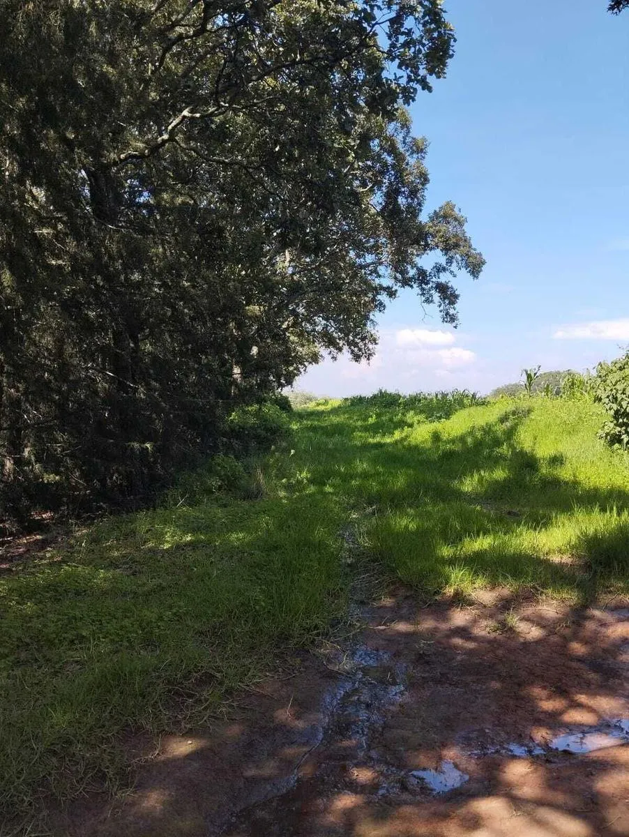 Terreno Spot2