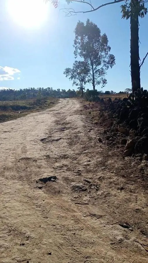Terreno Spot2