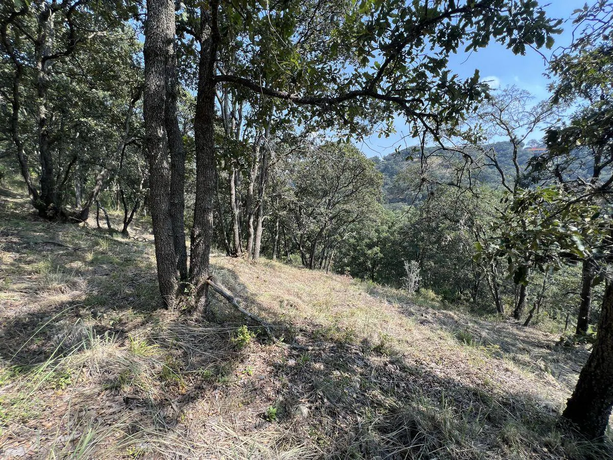 Terreno Spot2