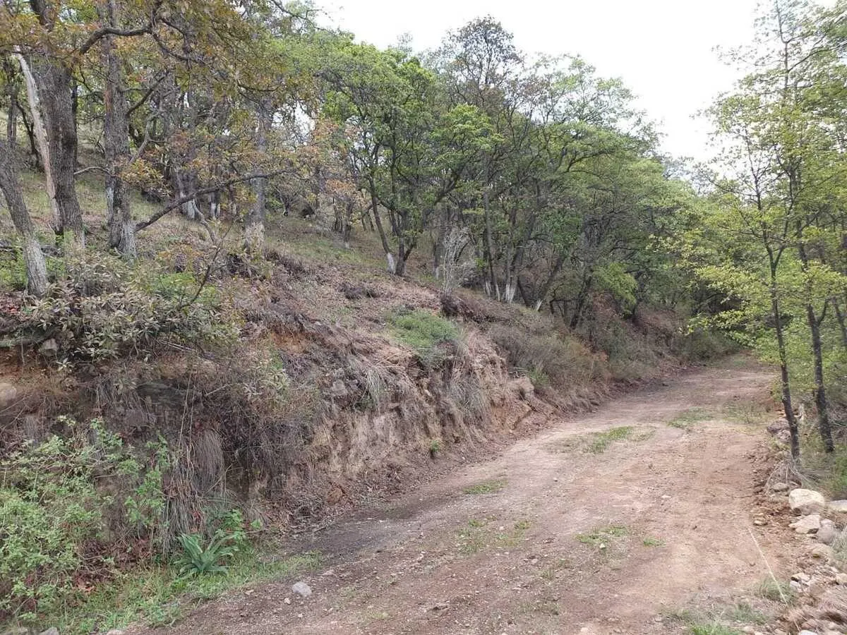 Terreno Spot2