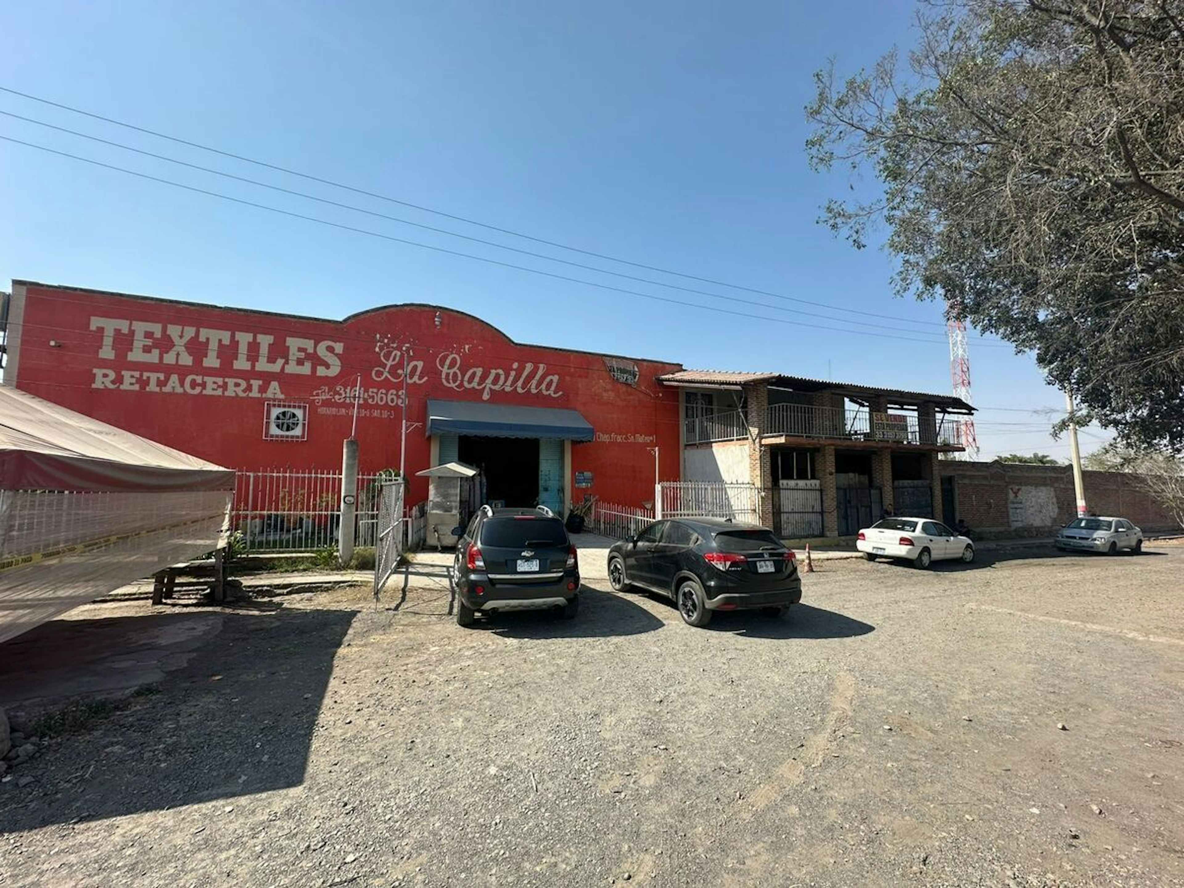 Calle Olivo Mexicano