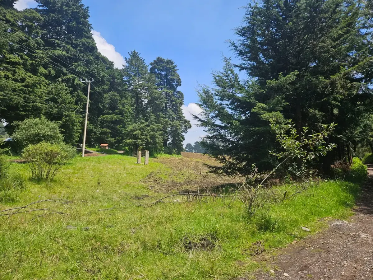 Terreno Spot2