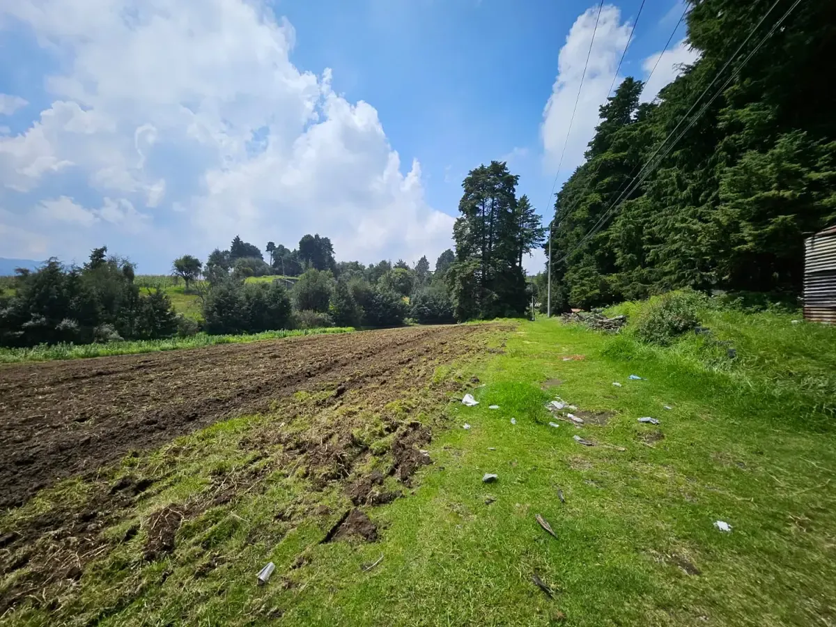 Terreno Spot2