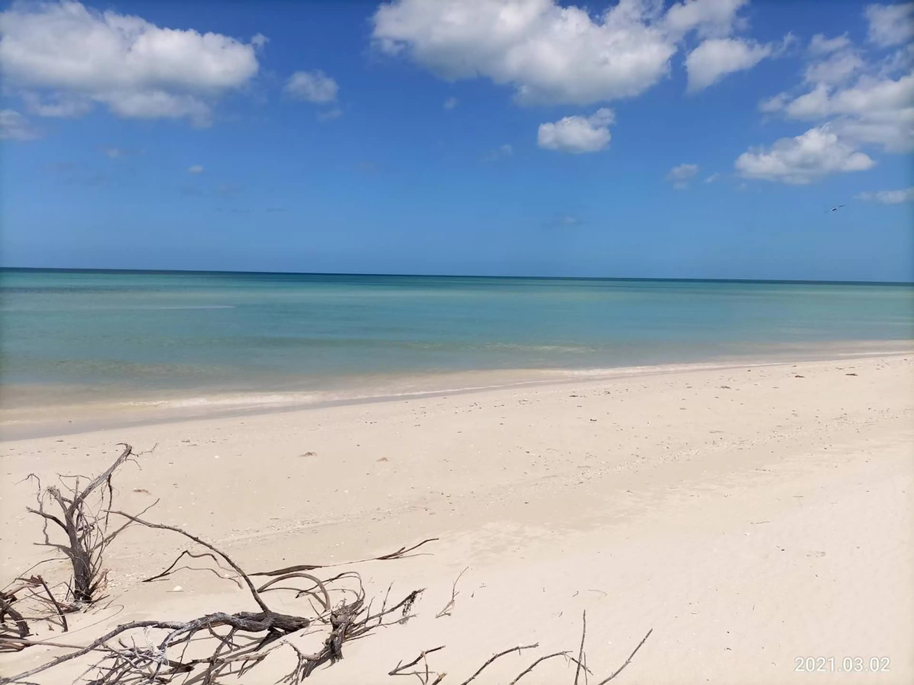Terreno De 25 Mts Frente Al Mar En Sisal Sunset Beach Yucata