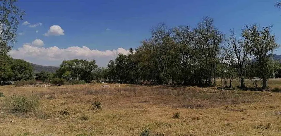 Terreno Spot2
